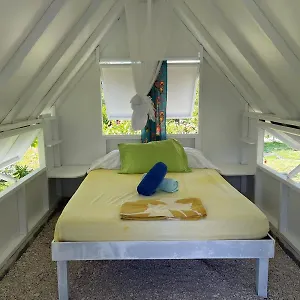  Auberge de jeunesse Alaroots